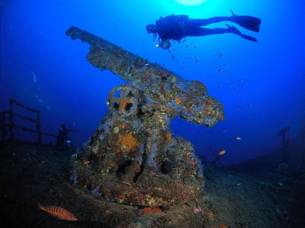 BLUECULTOUR